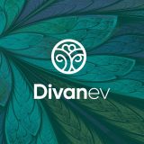 Divanev_logo